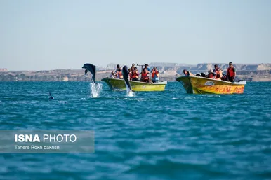 ایران زیباست | خلیج‌فارس
