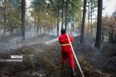 آتش سوزی در جنگل‌های سراوان