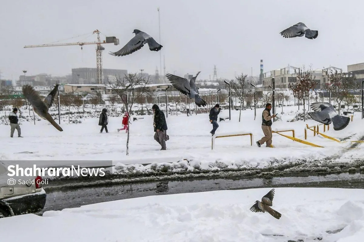 پیش‌بینی هواشناسی مشهد و خراسان رضوی (دوشنبه، ۲۶ آذر ۱۴۰۳) | مشهد سردترین مرکز استان کشور