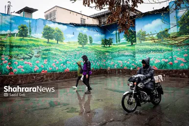باران که می‌بارد
