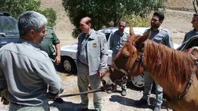دستگیری۴۵۴ شکارچی متخلف و کشف ۶۳ قبضه اسلحه شکاری در استان