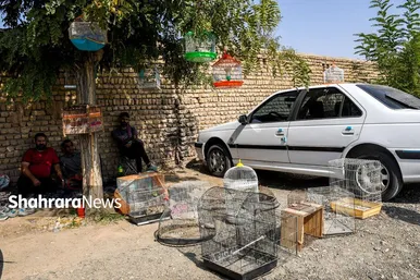 عکس‌هایی از جمعه‌بازار پرنده‌فروشان در شمال شرق مشهد