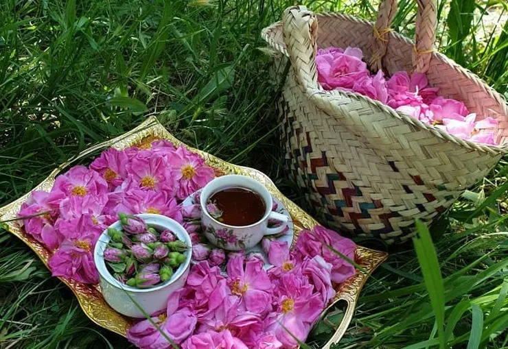 ویدئو/فرخد؛ روستای گل محمدی مشهد
