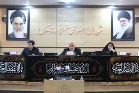 رئیس شورای اسلامی شهر مشهد: آمادگی کامل برای خدمت&zwnj;رسانی به زائران دهه پایانی صفر در مشهد ضروری است