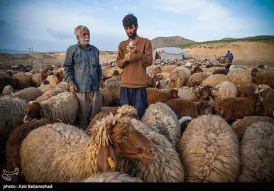 عبور عشایر از خرم آباد