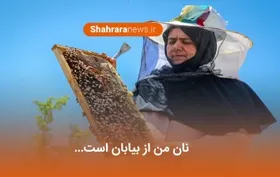 ویدئو/ گفتگو با سیده فاطمه حسینی، زنبوردار و صادر کننده نمونه کشور
