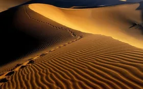 ویدئو|  چرا صحرای آفریقا را پر از صفحات خورشیدی نمی&zwnj;کنیم؟