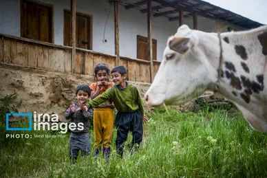 ایران زیباست | ییلاق در کوهستان