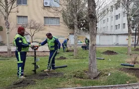 اجرای پایلوت طرح آبیاری تلفیقی هم&zwnj;زمان با عملیات چالکود در ۵ منطقه سطح شهر مشهد
