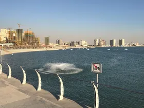 مشاهده رد پای تمساح در دریاچه چیتگر تهران + عکس