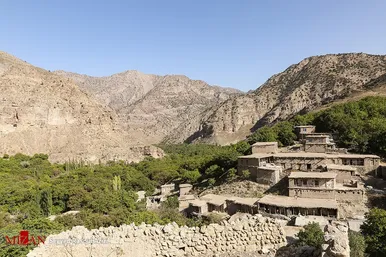 برداشت گردو در اطراف شهر درگز