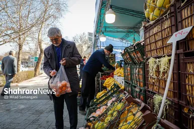 گزارش تصویری | بازدید سرزده فرماندار و شهردار مشهد از ۱۰ مرکز عرضه مستقیم کالا‌های اساسی