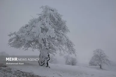 برف در رامیان