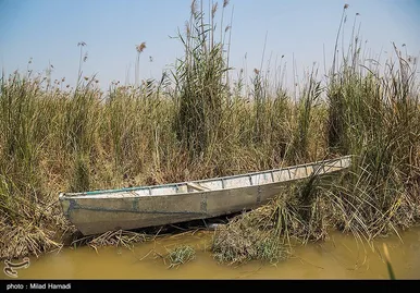 رهاسازی آب سد کرخه، از سوسنگرد تا هورالعظیم