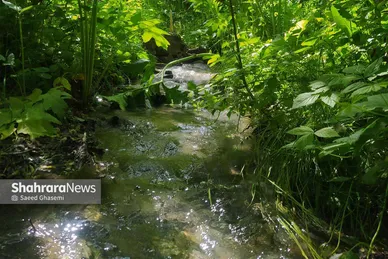 طبیعت زیبای روستای کردینه در حوالی مشهد