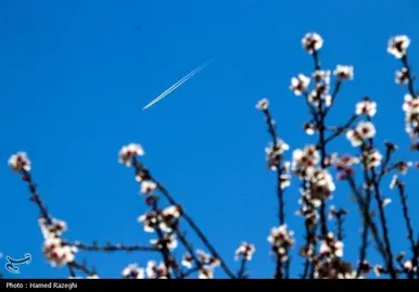 ایران زیباست | طبیعت بهاری ابهر