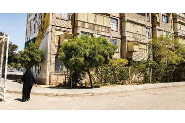 مترجمان شهرک عرب ها