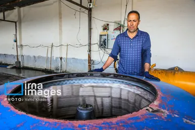 عکس‌هایی از یک کارگاه قالیشویی در آستانه نوروز