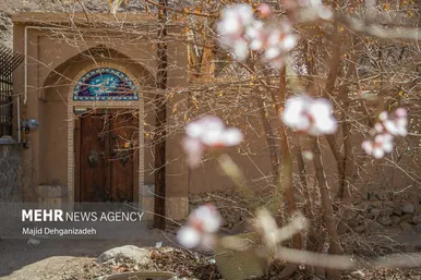 ایران زیباست | بوی بهار در زمستان کویر