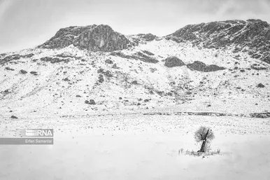 گویی که لقمه‌ایست زمین در دهان برف