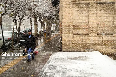 بارش اولین برف پاییزی در حرم مطهر رضوی