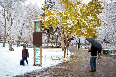  بارش اولین برف پاییزی در مشهد 