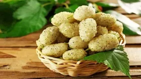 با خواص شگفت&zwnj;انگیز توت سفید آشنا شوید!