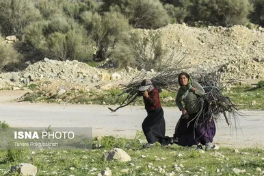 ایران زیباست | کوچ بهاری عشایر استان فارس