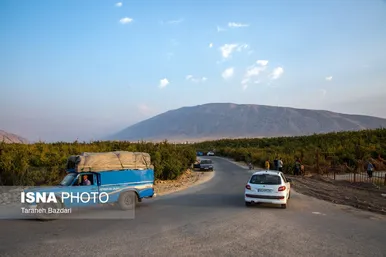 ایران زیباست | برداشت انار در لرستان