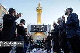 اعلام ویژه برنامه&zwnj;های اربعین حسینی در حرم مطهر رضوی