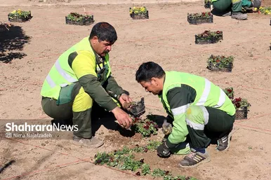 گل‌کاری در نقاط مختلف شهر مشهد