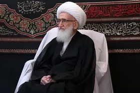 آیت&zwnj;الله نوری همدانی جنایت صهیونیست&zwnj;ها در غزه را محکوم کرد
