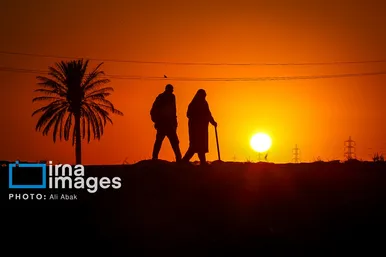 گزارش تصویری | پیاده روی در مسیر نخلستان‌های عراق