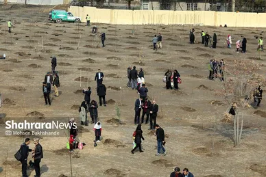 پویش سراسری درخت‌کاری در بوستان جهانشهر