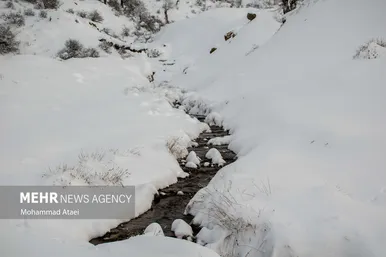 برف در رامیان