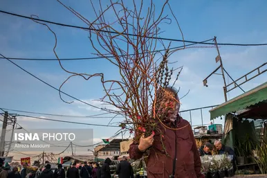 بازار گل محلاتی تهران در آستانه سال نو