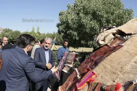 وزیر آموزش و پرورش در مشهد: ۹ هزار معلم برای مدارس عشایری تامین می&zwnj;شود | مدارس کانکسی را به مدارس مناسب تغییر می&zwnj;دهیم
