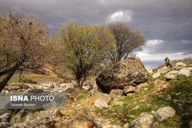 ایران زیباست | مخمل کوه در گستره زاگرس - لرستان