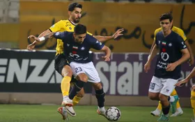 کارتال مخالف جذب شکاری