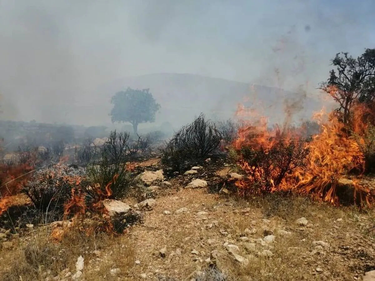 آتش‌سوزی در مزارع روستای «چارمه» شهرستان کهگیلویه خاموش شد (۱۱ خرداد ۱۴۰۵)