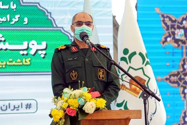 پویش سراسری درخت‌کاری