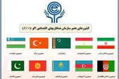 سازمان اکو چیست؟