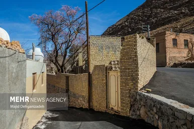 ایران زیباست | بوی بهار در زمستان کویر