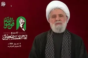 شیخ نعیم قاسم: امام خامنه&zwnj;ای رهبر استثنایی و بی&zwnj;نظیر بود