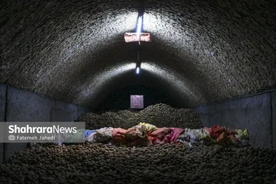 گزارش تصویری | برداشت سیب زمینی از مزارع کشاورزی فیروزکوه