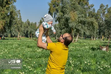 ایران زیباست | نرگسِ «بِهبهان»