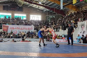 بازی&zwnj;های نه چندان مهم در هفته آخر لیگ برتر کشتی