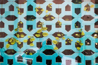 خانه های تاریخی مشهد