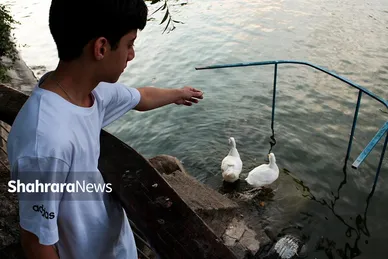 عکس‌هایی از دریاچه مصنوعی پارک ملت مشهد