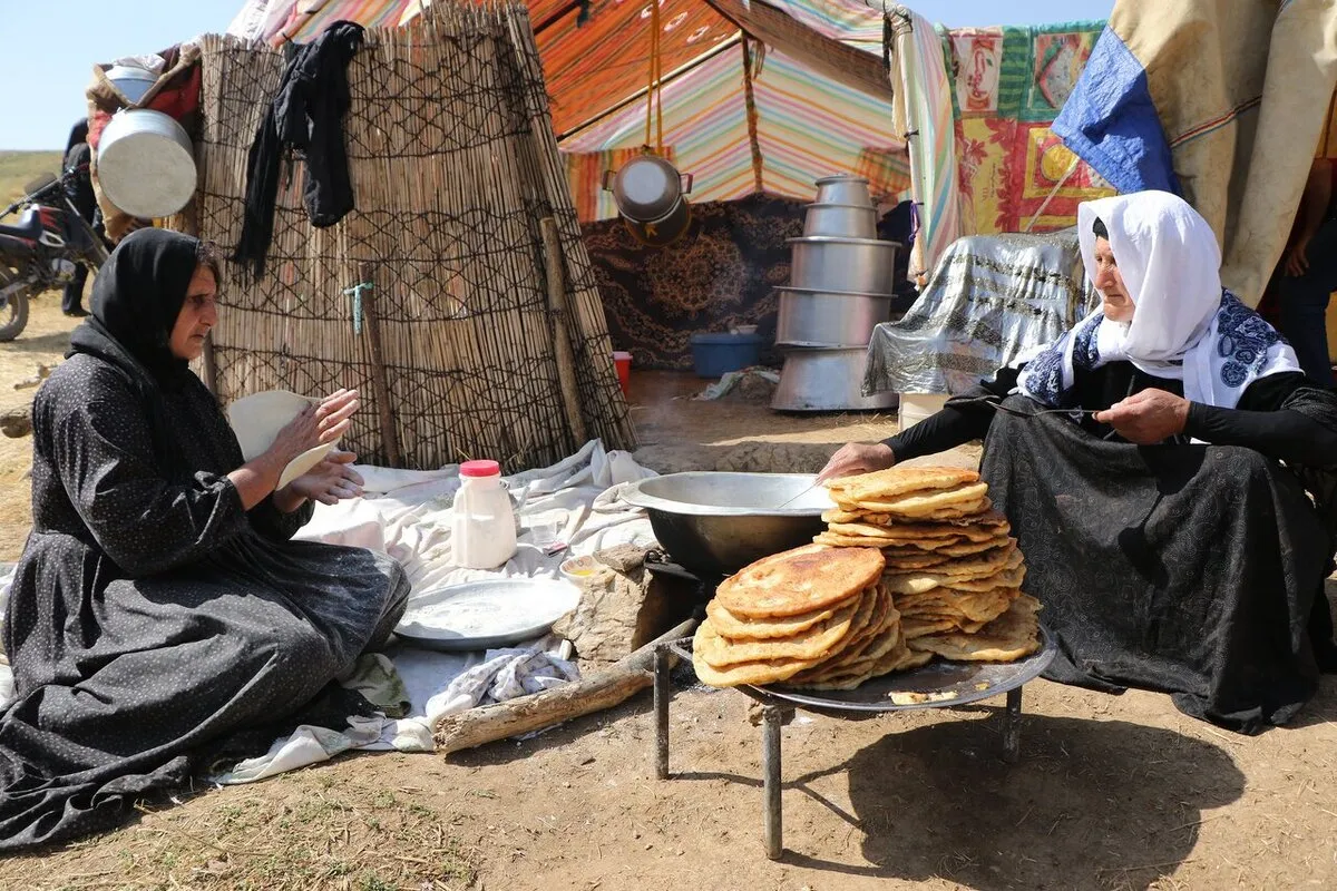 وزیر تعاون: اجرای مرحله نخست بیمه اجتماعی مادران روستایی و عشایری آغاز شد